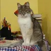 Отзыв от Кристина Михеева